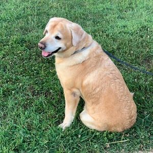 Meet your Posher, Heidi